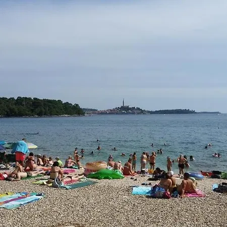 In With Terrace, Air Condition, Wifi, Washing Machine Apartment Rovinj